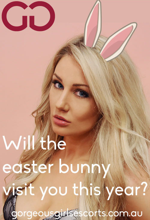 Playboy bunny escort Nikki